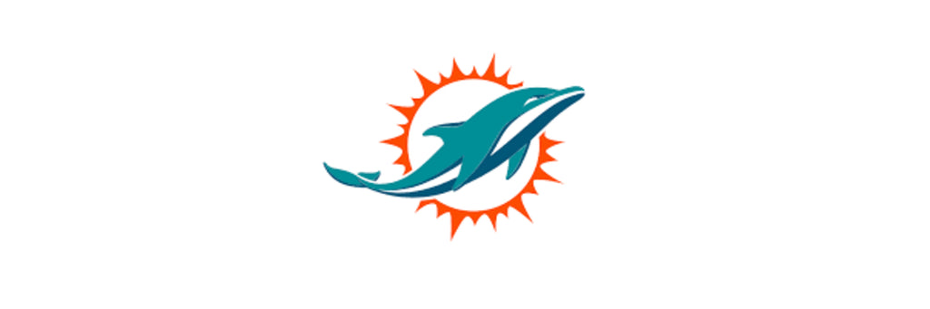 Logo Brands Miami Dolphins Mini Rubber Football