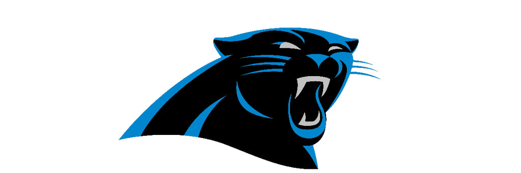 Evergreen Enterprises Carolina Panthers Team Shop 