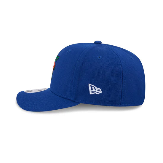Florida Gators - 9Seventy Wordmark Stretch-Snap Hat, New Era