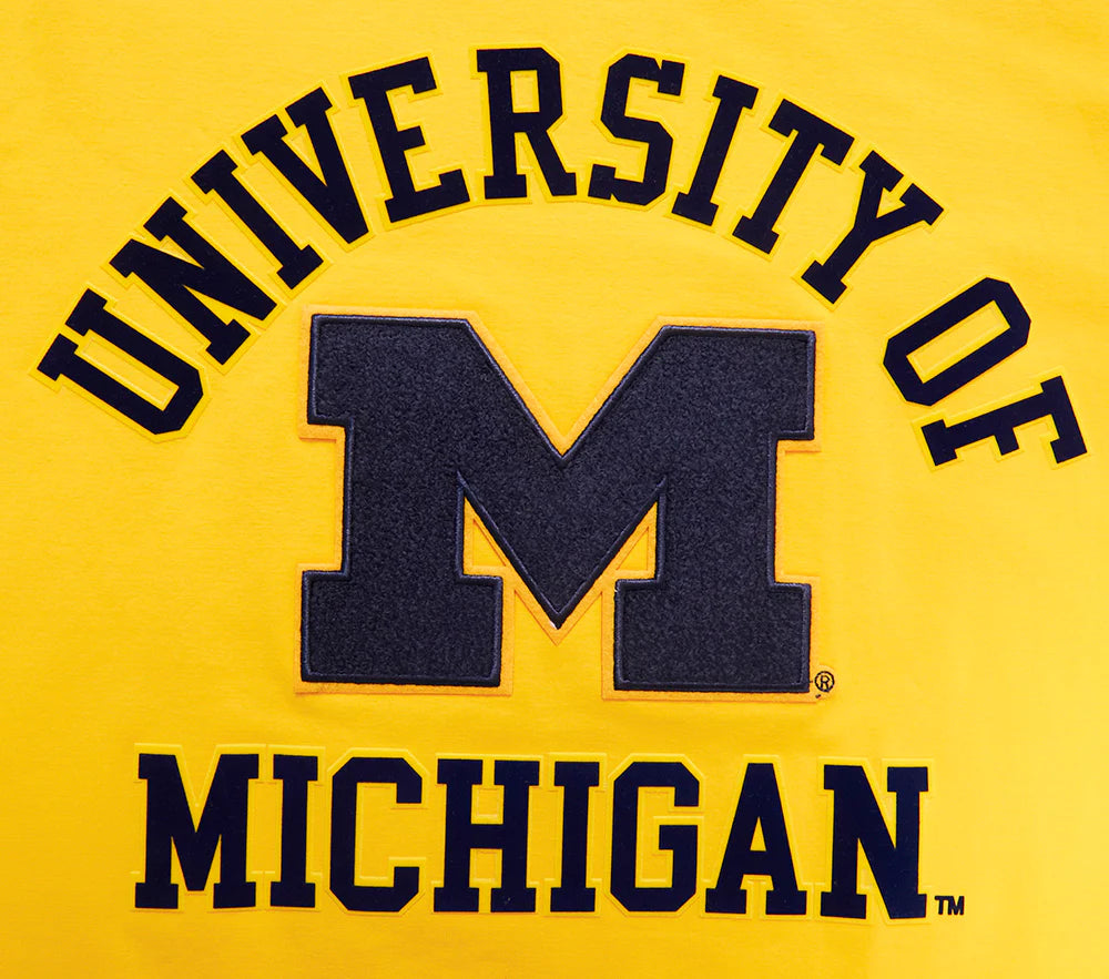 Michigan Wolverines - NCAA University Of Michigan Classic Men's Stacked Logo T-Shirt