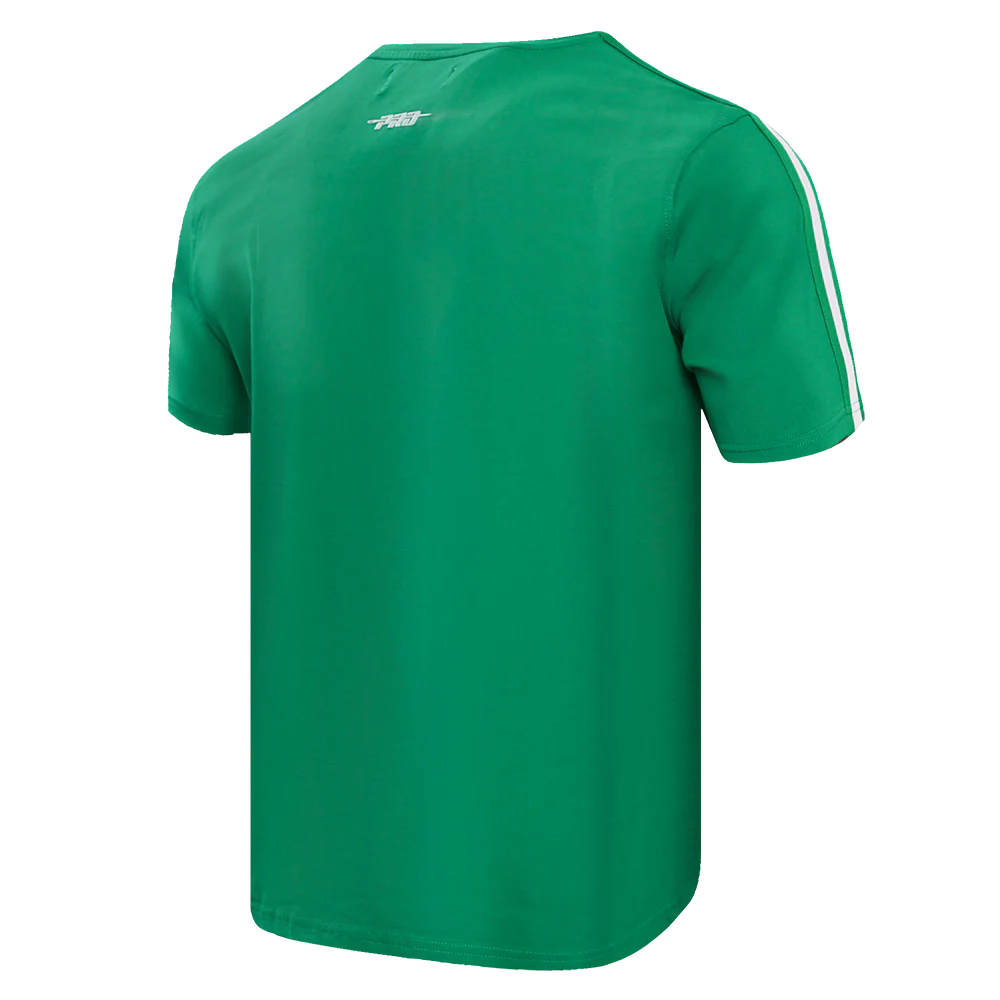 Philadelphia Eagle NFL - Retro Classic Men's Stiped Adult T-shirt