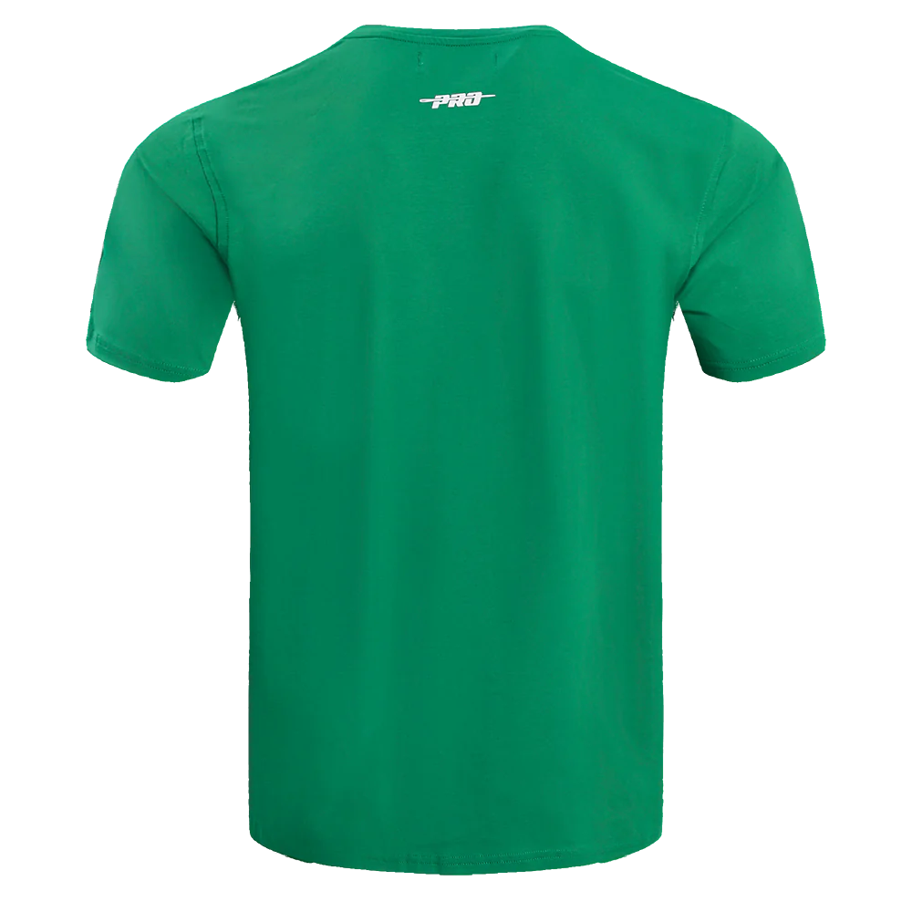 Philadelphia Eagle NFL - Retro Classic Men's Stiped Adult T-shirt