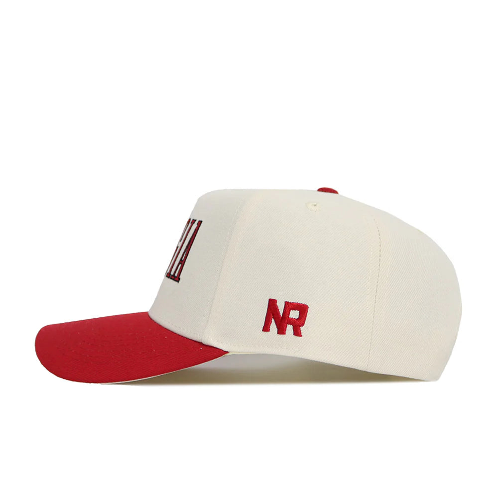 Georgia Bulldogs - Natural Retro Block Hat