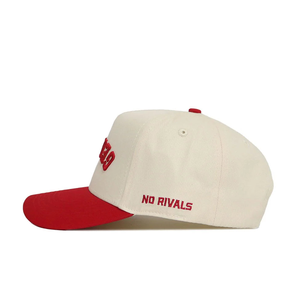 Georgia Bulldogs - Natural Upside Down Georgia Hat