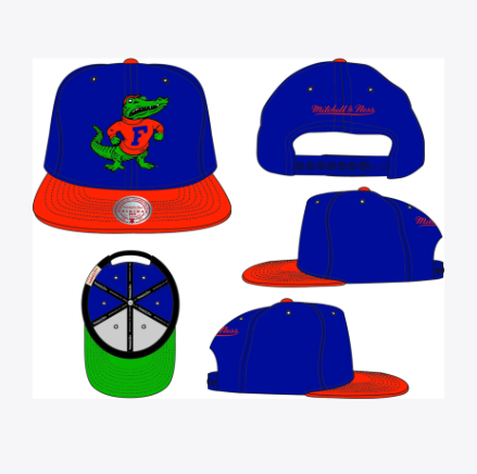 NCAA Florida Gators 2 Tones Snapback Hat
