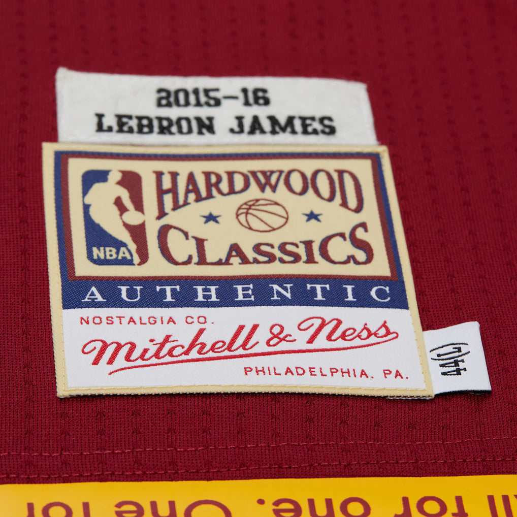 Cleveland Cavaliers - NBA 2015 Lebron James Swingman Road Jersey