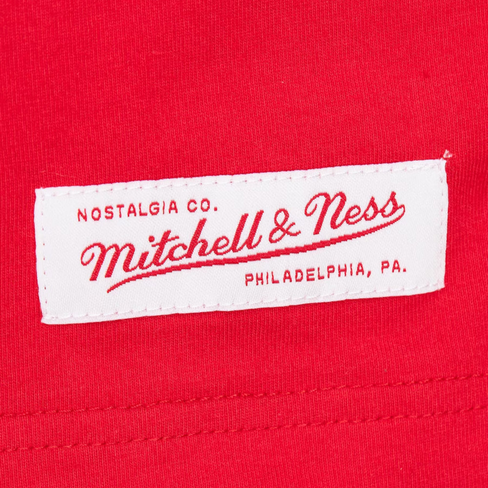 Georgia Bulldogs - NCAA Hometown Vintage Logo T-Shirt