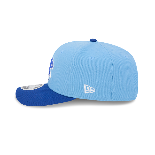 Chicago Cubs - Spring Training Bear 9Seventy Stretch Snap Adjustable Hat, New Era