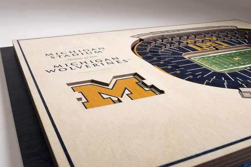NCAA Michigan Wolverines Memorial Stadium View 3D Wall Art Standard Version