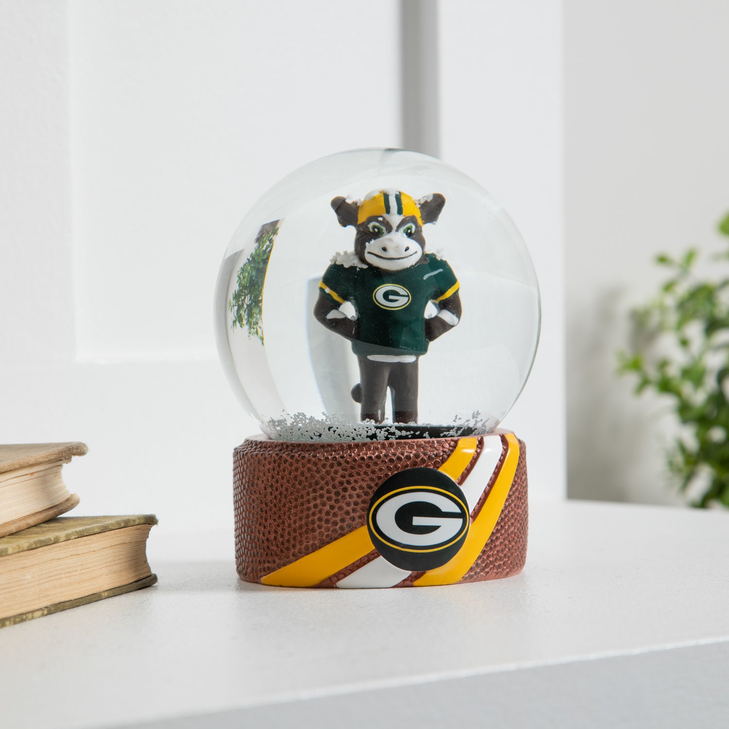 NFL Green Bay Packers - Water Globe