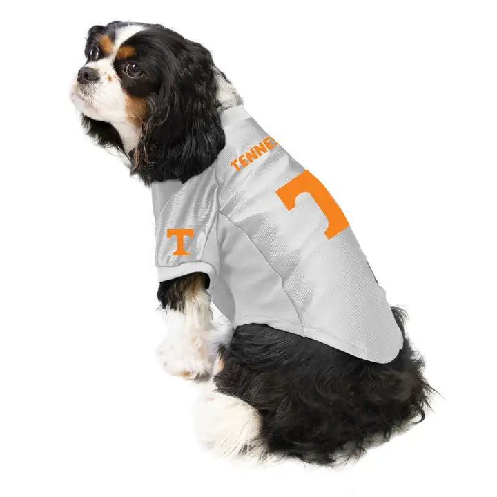 Tennessee Volunteers - Pet Stretch Jersey