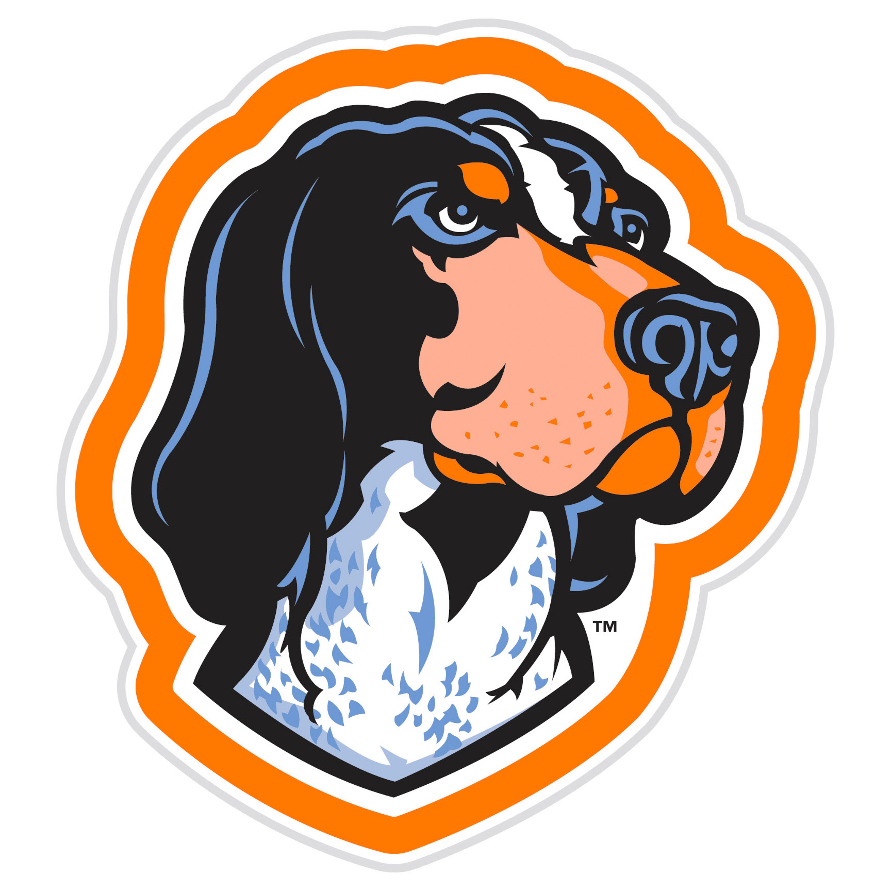 Tennessee Volunteers: Glazelite, College Mascot Led Wall Decor