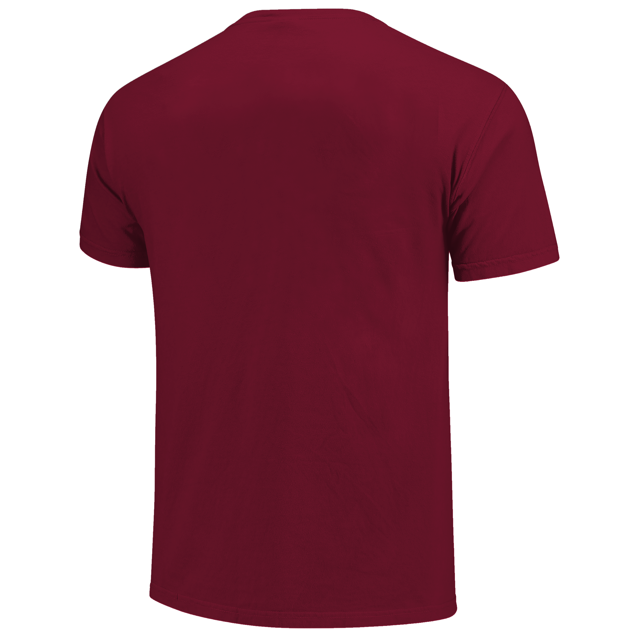 Alabama Crimson Tide - Classic Arch & Script T-Shirt