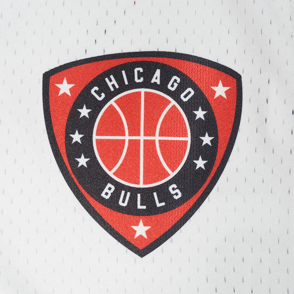 Chicago Bulls - NBA Letterman Men's Mesh Button Down Shirt