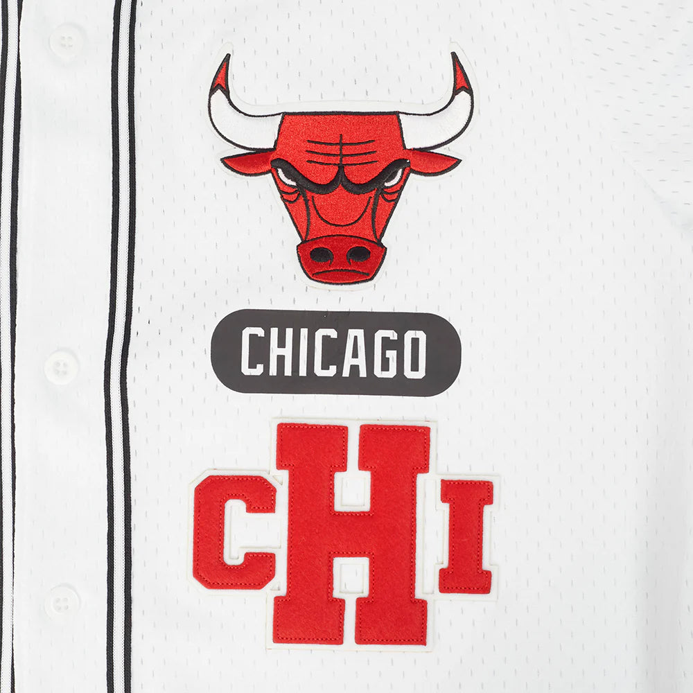 Chicago Bulls - NBA Letterman Men's Mesh Button Down Shirt