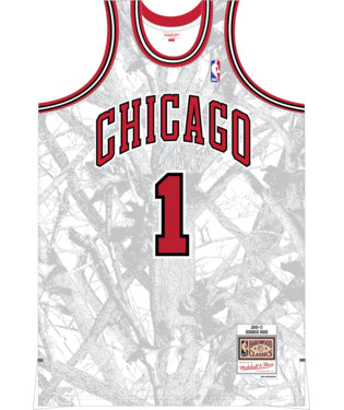 NBA Chicago Bulls Derrick Rose Ghosted Swingman Jersey