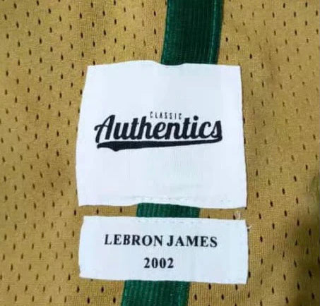 Irish - LeBron James High School Basketball Jersey