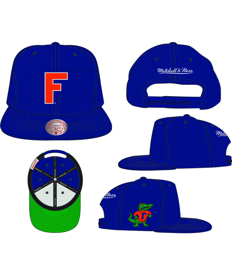 Florida Gators - NCAA All Directions Snapback Hat