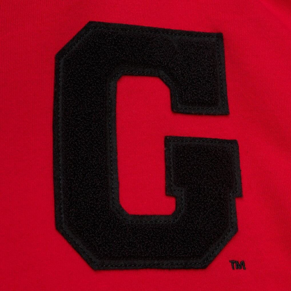 Georgia Bulldogs - NCAA Red Team Legacy French Terry Pullover Hoodie