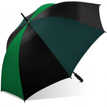 Auto Fold Umbrella