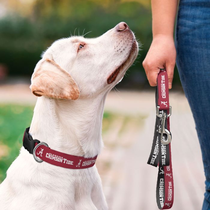 Alabama Crimson Tide - Pet Collar