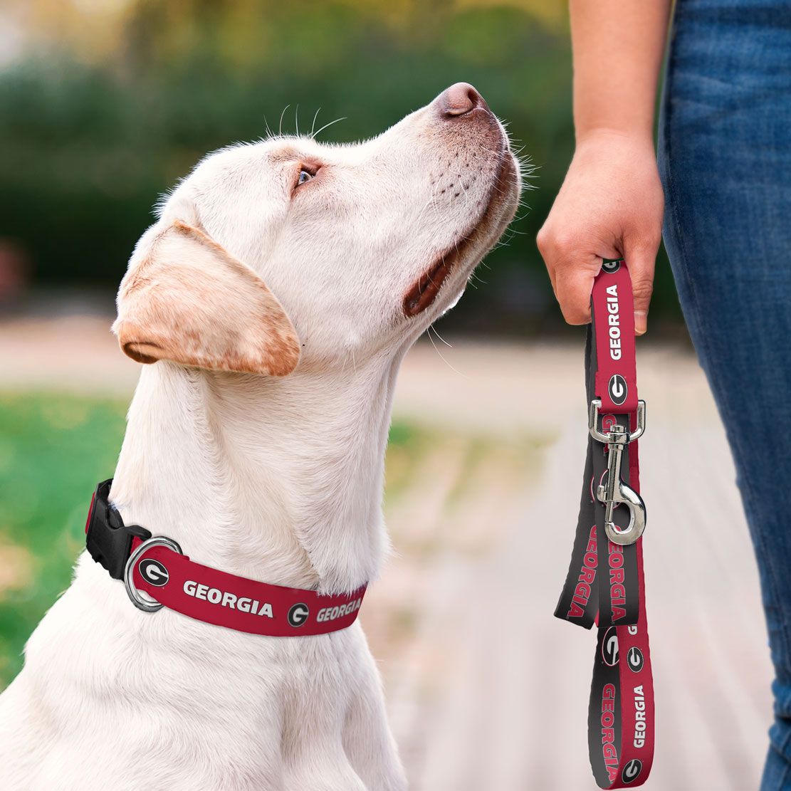 Georgia Bulldogs - Pet Accessories