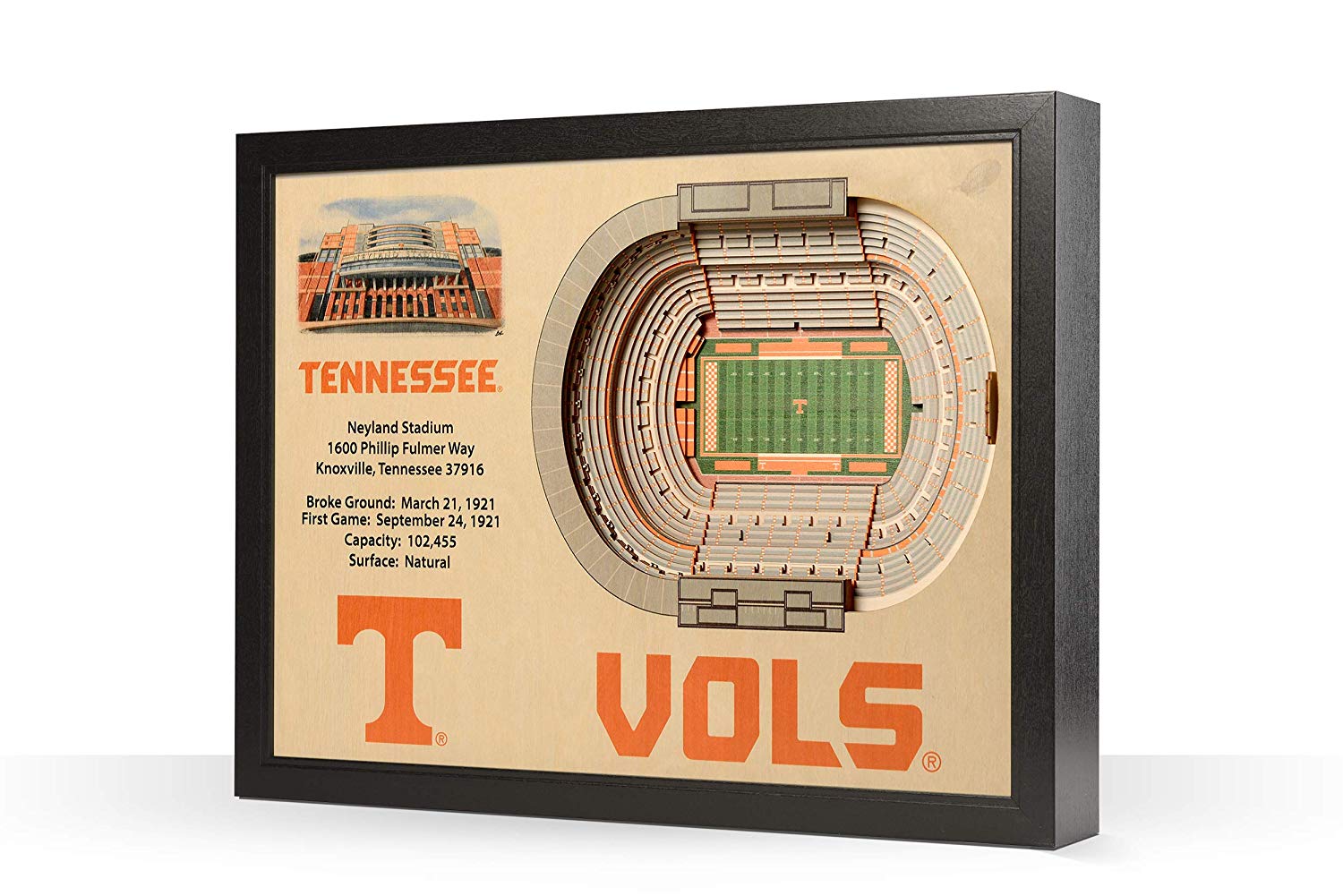 Tennessee Volunteers NCAA 25-Layer 25.5 x 19.5 StadiumViews 3D Wall Art