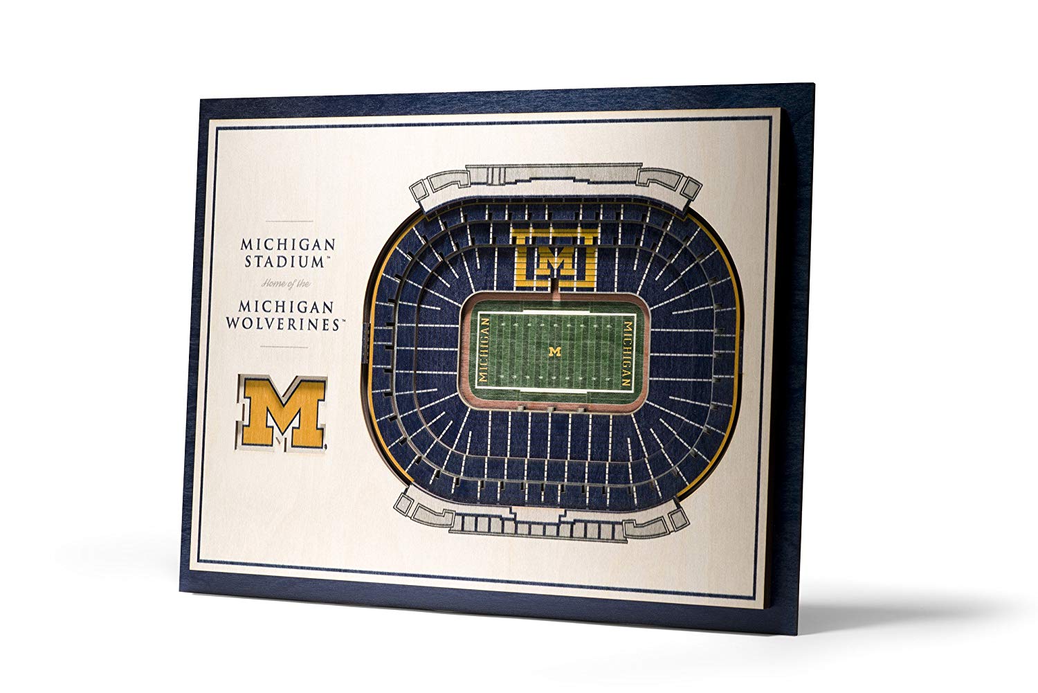 NCAA Michigan Wolverines Memorial Stadium View 3D Wall Art Standard Version