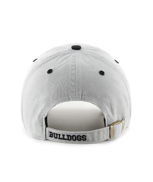 Georgia Bulldogs - Gray Ice Clean Up Hat, 47 Brand