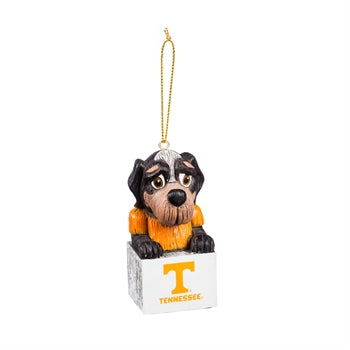 Tennessee Volunteers - Mascot Ornament