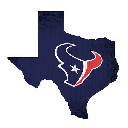 Houston Texans - State Team Color Logo Sign