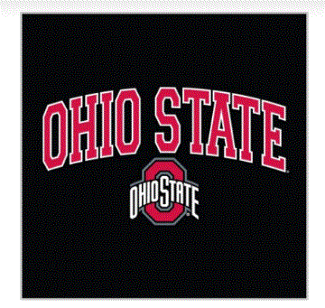 Ohio State University - Ohio State Arch Above Block Ohio State Logo Black Hoodie